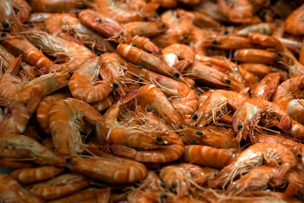 Indian Company Allegedly Supplies US With Contaminated Shrimps, Possibly Violating Food Safety Law
