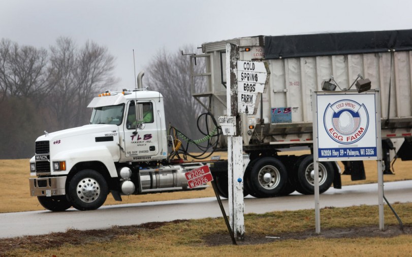 Worst Bird Flu Hits US as Iowa Egg Farm Prompted to Kill 4.2 Million Chickens