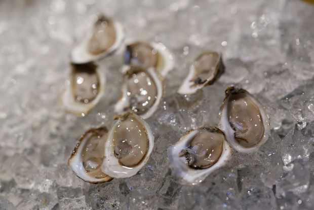 Oregon Authorities Expand Shellfish Harvesting Closures Statewide Due High Level Toxins