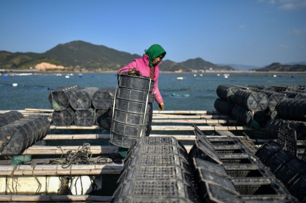 CHINA-ENVIRONMENT-AQUACULTURE-FISHING