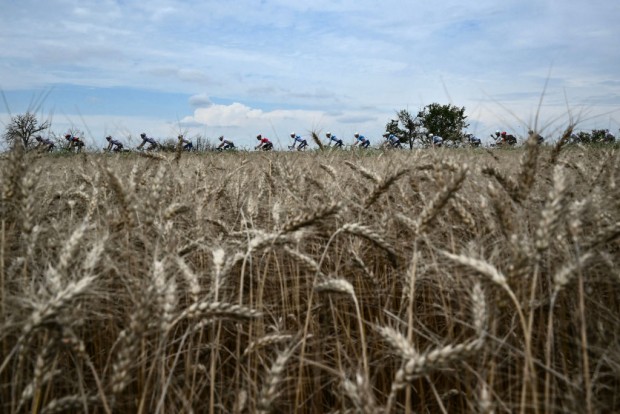 Algeria and Italy Finalize $455 Million Agricultural Project Deal