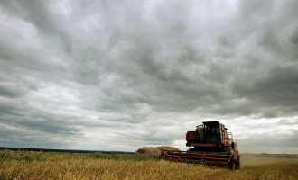 Russian Village Struggles With Agricultural Economy