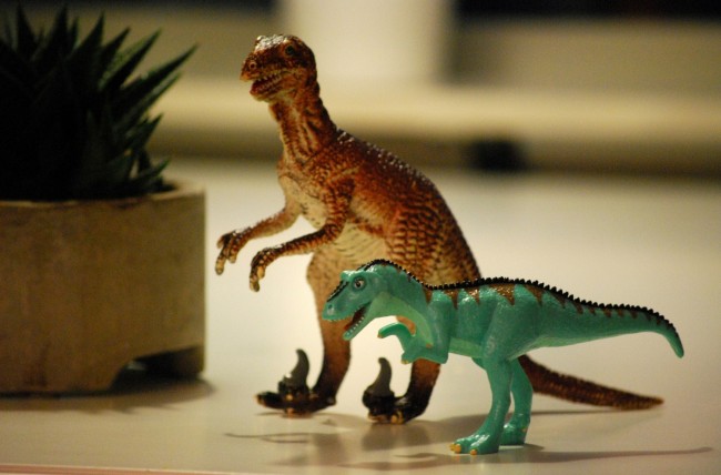 Study Shows the Kids Who Love Dinosaur Are Smarter