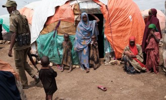 IMF, World Bank Approve Historic $4.5 Billion Debt Relief for Somalia