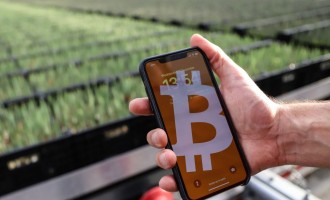 Bitcoin Price Soars Above $45,000 for First Time Since April 2022