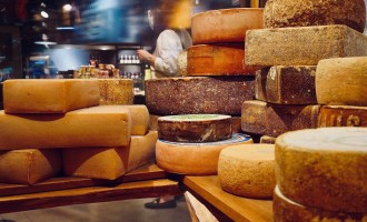 Shop Jelmoli Humidor - say cheese - Swiss cheese (naturli-ag) 