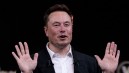 Elon Musk Could Greatly Benefit From Donald Trump Winning the 2024 Election, Law Experts Say