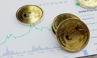Memecoins Like Dogecoin and Shiba Inu Surge as Bitcoin Rally Continues