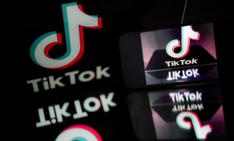 Major TikTok Accounts Compromised by Hackers Via Direct Messages