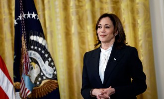 Kamala Harris Says Biden Admin Does 'Not Intend to Ban TikTok' Despite Backing Bill That Could Get the App Banned in US
