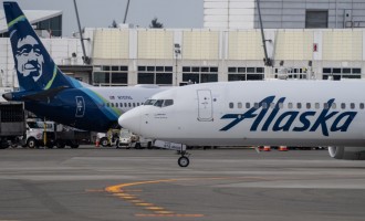 Alaska Airlines Passenger Loses Pet Dog During Loading Due to Airline Misstep