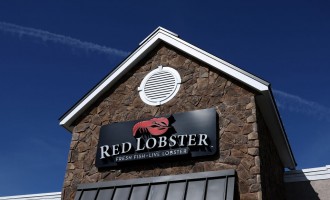 Red Lobster Mulls Possible Bankruptcy Filing Amid Debt And Rising Labor Costs