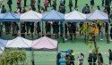 HK Begins Mass Testing Of All Residents