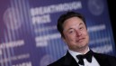 Elon Musk Takes Aim at JK Rowling, Says to Move on From Trans Issues