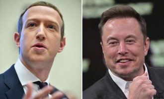 Elon Musk Slams Mark Zuckerberg's Meta for Engaging in 'Super Greedy' Advertising Practices