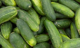 FDA Recall Notice: Fresh Start Produce Sales Recalls Cucumbers Contaminated With Salmonella