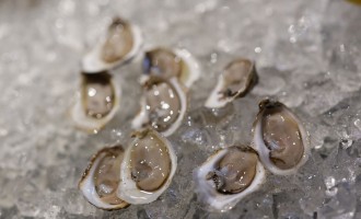 Oregon Authorities Expand Shellfish Harvesting Closures Statewide Due High Level Toxins