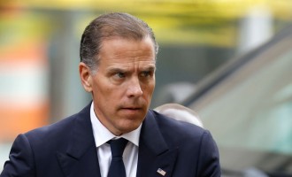 Hunter Biden Faces Sentencing and Upcoming Tax Trial Amidst Father's Reelection Campaign