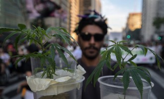 Brazil Decriminalizes Possession of Marijuana for Personal Use , First and Largest Country in Latin America to Do So