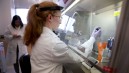 Midwest States Face Major Outbreak Of Avian Flu