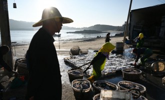 China Bans Taiwan’s Fruit and Seafood Imports, Igniting Trade Dispute