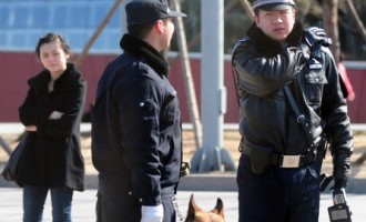 Policemen and a police dog walk on patrol
