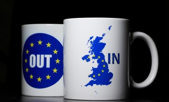 EU Referendum - Signage And Symbols