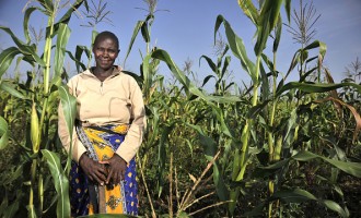 African Farmers Struggle To Feed   Continent's Booming Population